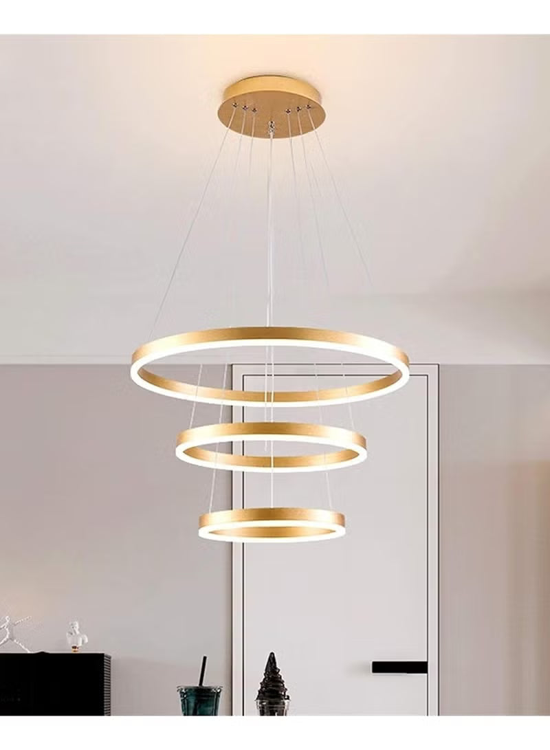 Modern Gold LED Ring Chandelier Light - Contemporary Ceiling Pendant for Living Rooms, Dining Rooms, and Hallways
